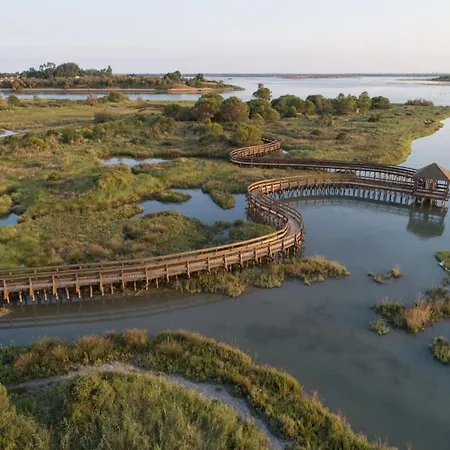 Comfortable Beachside Apartment In Rosolina